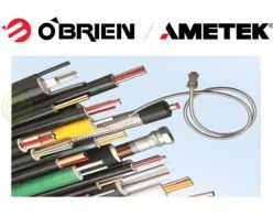 O'Brien O'Brien /